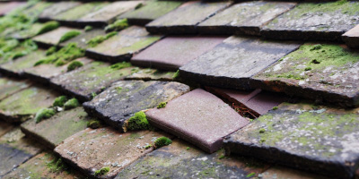 Stockbridge Village roof repair costs